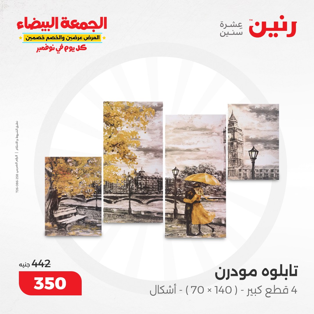 raneen offers from 9nov to 20nov 2024 عروض رنين من 9 نوفمبر حتى 20 نوفمبر 2024 صفحة رقم 13